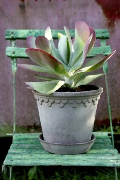 Bergs Potter Copenhagen Topf Grau, 30 Cm 8 Bergs Potter Copenhagen Topf Grau, 30 Cm -Einrichtungsgeschäft bergs potter copenhagen topf grau 3 1