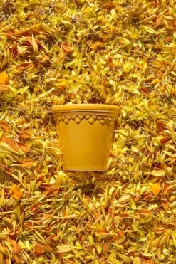 Bergs Potter Copenhagen Topf Mit Unterteller Gelb, Ø14 Cm 10 Bergs Potter Copenhagen Topf Mit Unterteller Gelb, Ø14 Cm -Einrichtungsgeschäft bergs potter copenhagen topf mit unterteller gelb 1