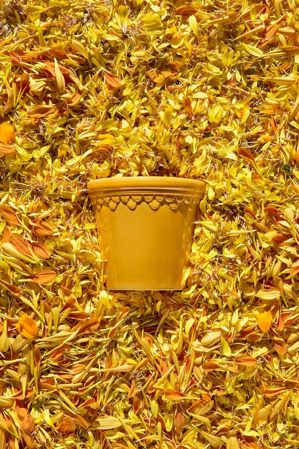 Bergs Potter Copenhagen Topf Mit Unterteller Gelb, Ø14 Cm 5 Bergs Potter Copenhagen Topf Mit Unterteller Gelb, Ø14 Cm – Bild 3