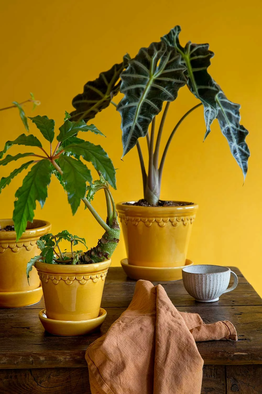 Bergs Potter Copenhagen Topf Mit Unterteller Gelb, Ø14 Cm 8 Bergs Potter Copenhagen Topf Mit Unterteller Gelb, Ø14 Cm – Bild 6