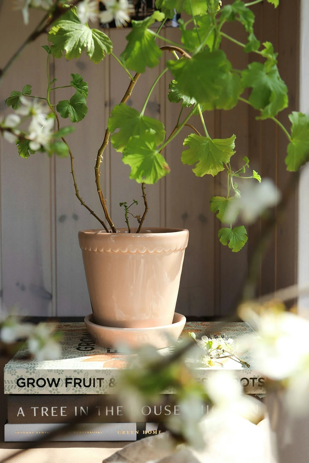 Bergs Potter Helena Topf Quartz Rose, 18 Cm 7 Bergs Potter Helena Topf Quartz Rose, 18 Cm – Bild 5