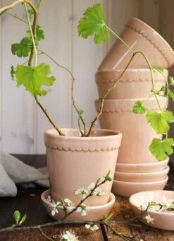 Bergs Potter Helena Topf Quartz Rose, 18 Cm 13 Bergs Potter Helena Topf Quartz Rose, 18 Cm -Einrichtungsgeschäft bergs potter helena topf quartz rose 11