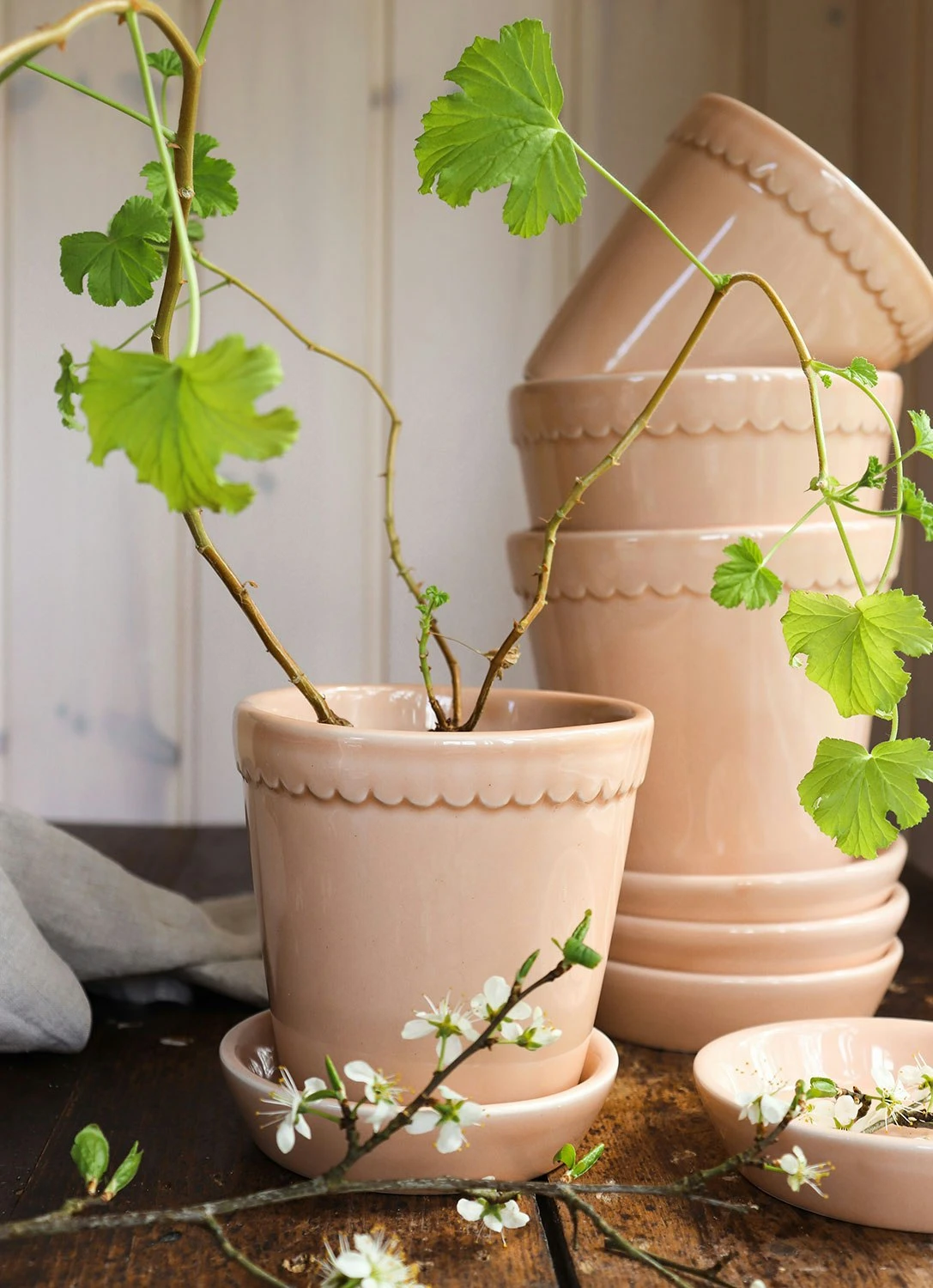 Bergs Potter Helena Topf Quartz Rose, 18 Cm 8 Bergs Potter Helena Topf Quartz Rose, 18 Cm – Bild 6