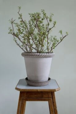 Bergs Potter Emilia Topf Grau, 25 Cm 9 Bergs Potter Emilia Topf Grau, 25 Cm -Einrichtungsgeschäft bergs potter topf emilia grau 1