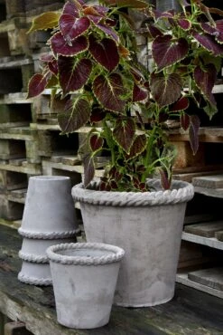 Bergs Potter Emilia Topf Grau, 25 Cm 11 Bergs Potter Emilia Topf Grau, 25 Cm -Einrichtungsgeschäft bergs potter topf emilia grau 3